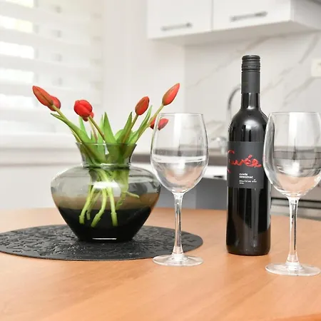 Apartment Gluic *
